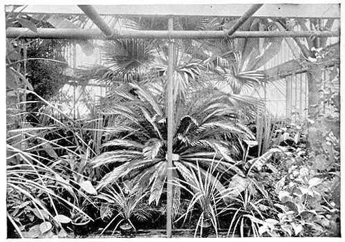 Durfee Plant House, Interior View.