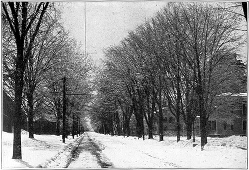 Main Street.  Laid out by Sergeant Corse