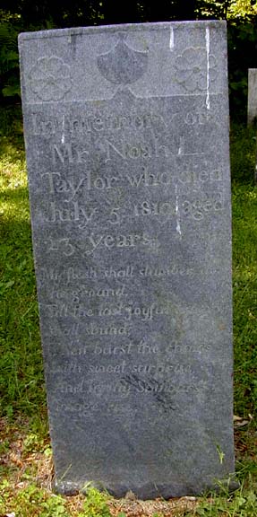 Noah L. Taylor