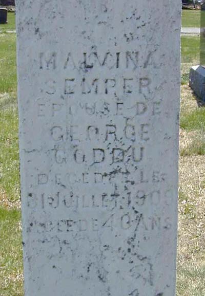 Semper