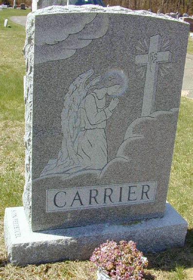 Carrier